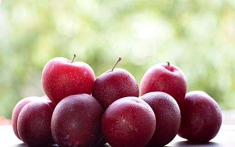 My Food Story: Not just a taste, but an emotion