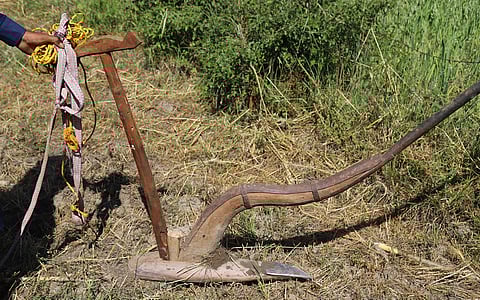 Another farmer quits