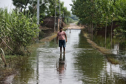 Farmers in India's Punjab suffered from the worst floods in four decades in August 2025.
