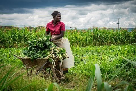 Rural women farmers in South Africa: How global promises aren’t translating into support on the ground