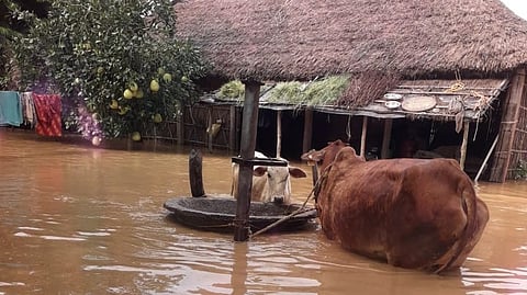 Can Bihar’s flood-affected voters make their voice heard amid endless floods?