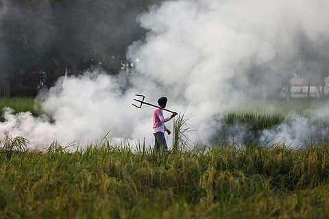 People in Punjab aware of Delhi’s poor air quality but unconvinced about stubble burning’s role, finds research