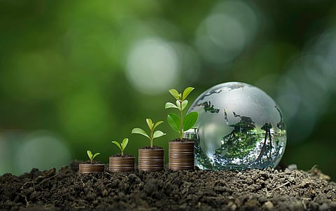 India’s draft climate finance taxonomy must be ‘practical and inclusive’: CSEP report