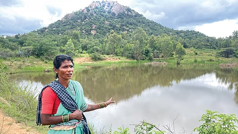 Conservation, digitally