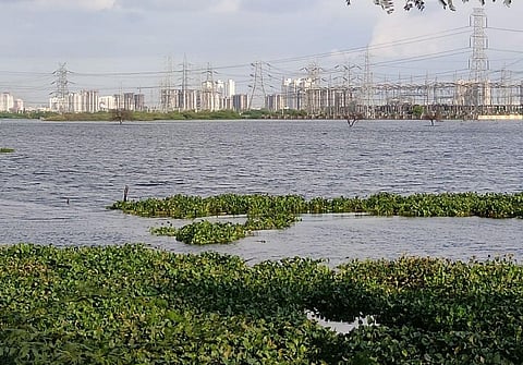 Rethinking Gurugram’s waterlogging fix: Let the city absorb, not divert