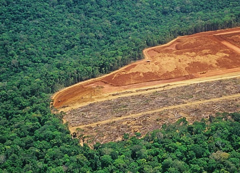 Deforestation in the Amazon.