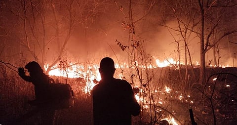 True forest fire management must begin not with extinguishing flames, but with understanding the people who light them