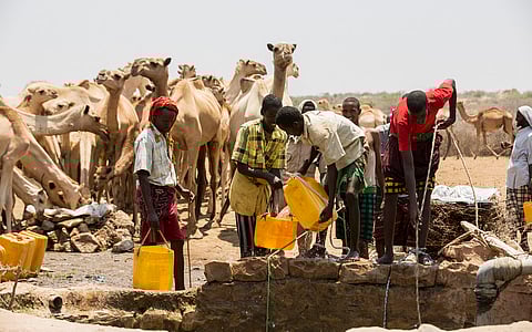 Somalia failed to implement functional social security system to protect vulnerable communities affected by drought: Report
