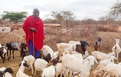 WAAW 2025: AMR will continue to threaten health, development, and economic stability, particularly in low- and middle-income countries