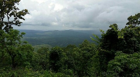 Justice for the jungle: The epic of Saranda Forest conservation