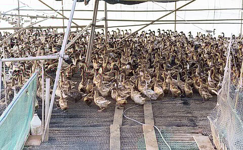 WAAW 2025: Why the AMR challenge matters for everyone