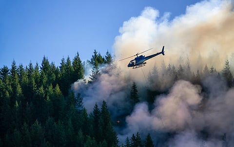 COP30: Global health leaders demand life-saving world transition away from fossil fuels