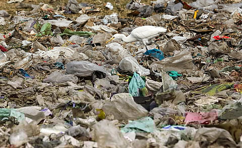 Single-use plastic’s chokehold on Delhi