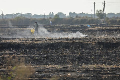 Sheopur district in Madhya Pradesh recorded the highest number of stubble-burning incidents for two years running.