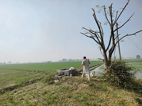 Heat stress puts India’s agriculture among high-risk in Asia-Pacific, warns UN ESCAP report