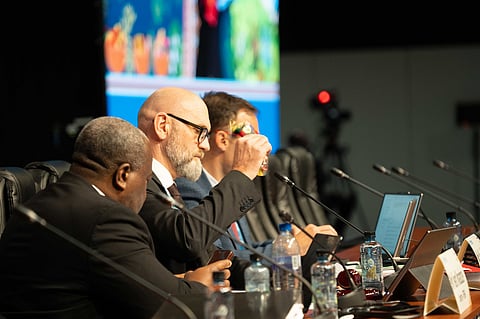 Access and Benefit Sharing talks in Lima end; biodiversity-rich countries get a reprieve