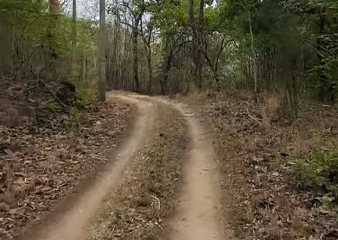 The unsung tigerwallahs of a corridor: An unknown scheme and its equally unknown heroes