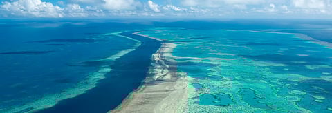 Coral reefs have orchestrated Earth’s climate for 250 million years