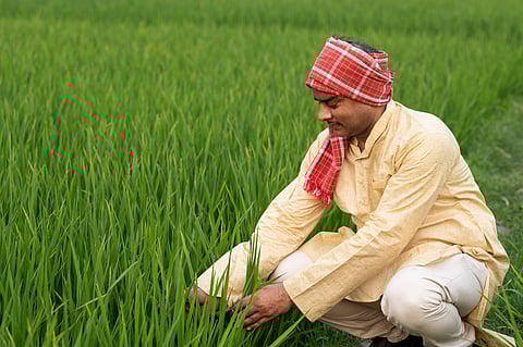 Climate change is affecting your food — and not in your favour