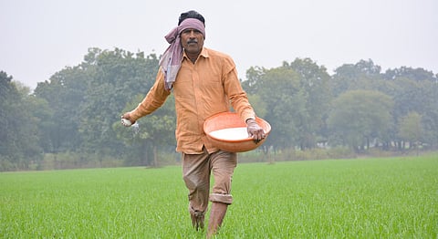 Biostimulants: The green solution for sustainable Indian agriculture