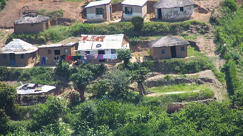 Rural expansion is driving more biodiversity loss than cities, global study finds