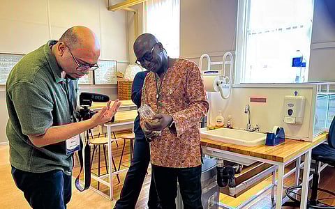 South Africa’s insect labs have answers to future of food security