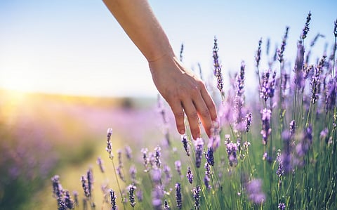 Humans could have as many as 33 senses