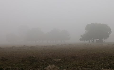 Normalising toxic winters is, ultimately, a choice—and a human-made one