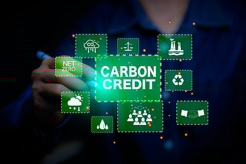 Carbon offset schemes prove costly for African communities