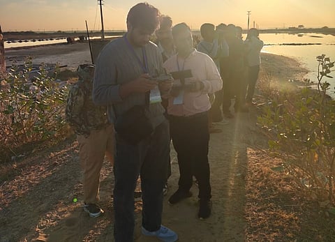 A ‘festival’ at Rajasthan’s Sambhar Lake is costing the wetland’s birds their sky