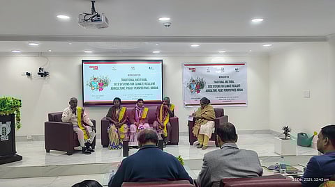 Traditional seeds hold answers to climate resilience