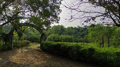 Kukrail Reserve Forest is Lucknow’s last green lung. But the state government is hell-bent on destroying it