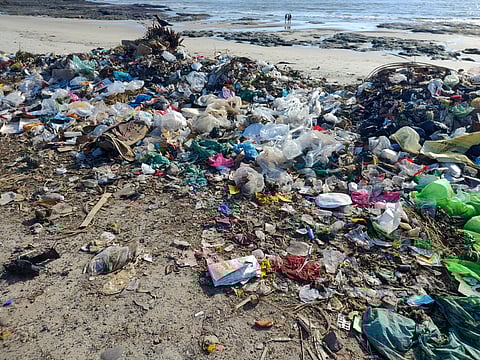 Waste dumped along the sea shore in Korlai.