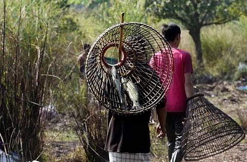UN biodiversity body opens reporting to communities, cities and businesses