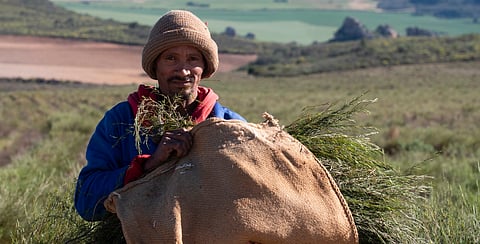 The Lima standoff and the rise of “biodiversity cartels”: A Global South Perspective