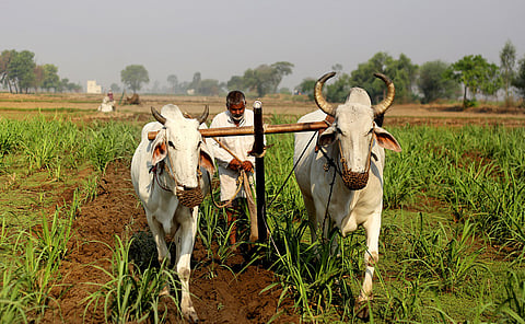 COP30, climate justice, and the future of agriculture in India