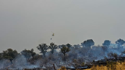 Europe saw its highest wildfire emissions on record in 2025.