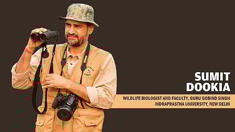 ‘I see the rise of defenders’