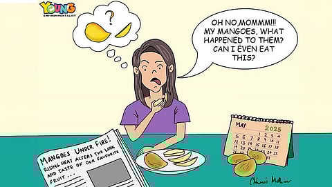 Gobar Times: Mangoes, ripe or roasted?