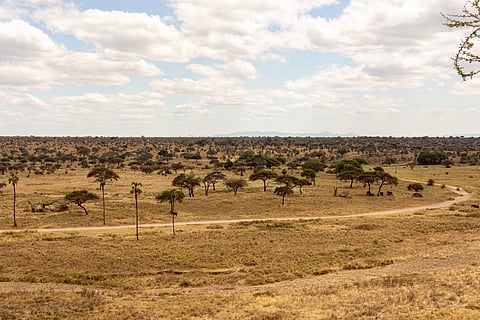 Tanzania is losing fertile land to soil erosion: What’s happening and what can be done