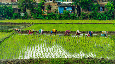 Union Budget 2026 raises farm allocation but cuts crop insurance, keeps key schemes underfunded