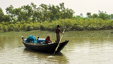 Unexplored potential