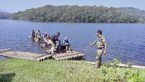 Introduced in 1998, bamboo rafting on the Periyar lake helped turn a forest-produce smuggling corridor into a patrolling zone