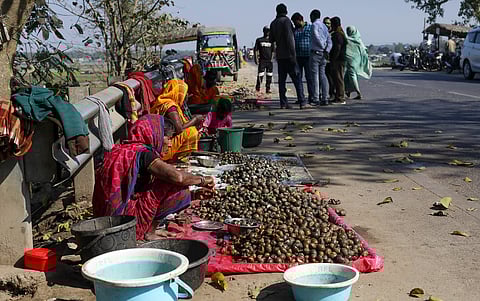 Bihar needs clean water bodies for this “poor man’s meat”