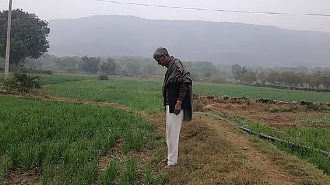 Farmers in Rajasthan’s Bamanwas Kankar Gram Panchayat are still divided about the merits of organic farming; others believe it will take a year or two for it to become more prevalent