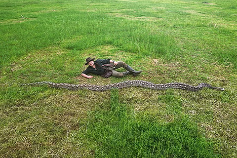 Meet Ibu Baron or The Baroness, the longest measured snake in the world. She measures almost 24 feet