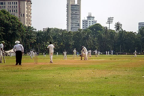 NGT cracks down on groundwater use at cricket stadiums, flags continued reliance despite treated water availability