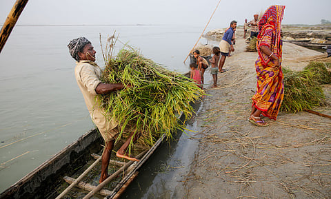 Along the Kosi in Saharsa