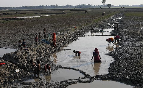 In Katihar’s marshlands, the monsoon is often a bane and a boon as well