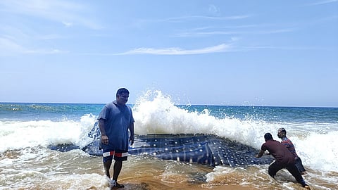 When giants get trapped: How Kerala’s fishers are learning to save the world’s largest fish